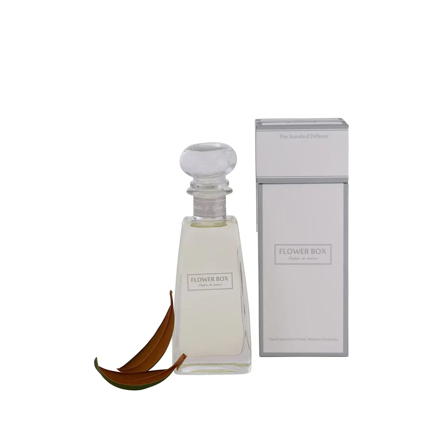 Magnolia and Green Leaf - Standard Diffuser