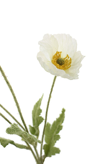 Artificial Spring Poppy - White