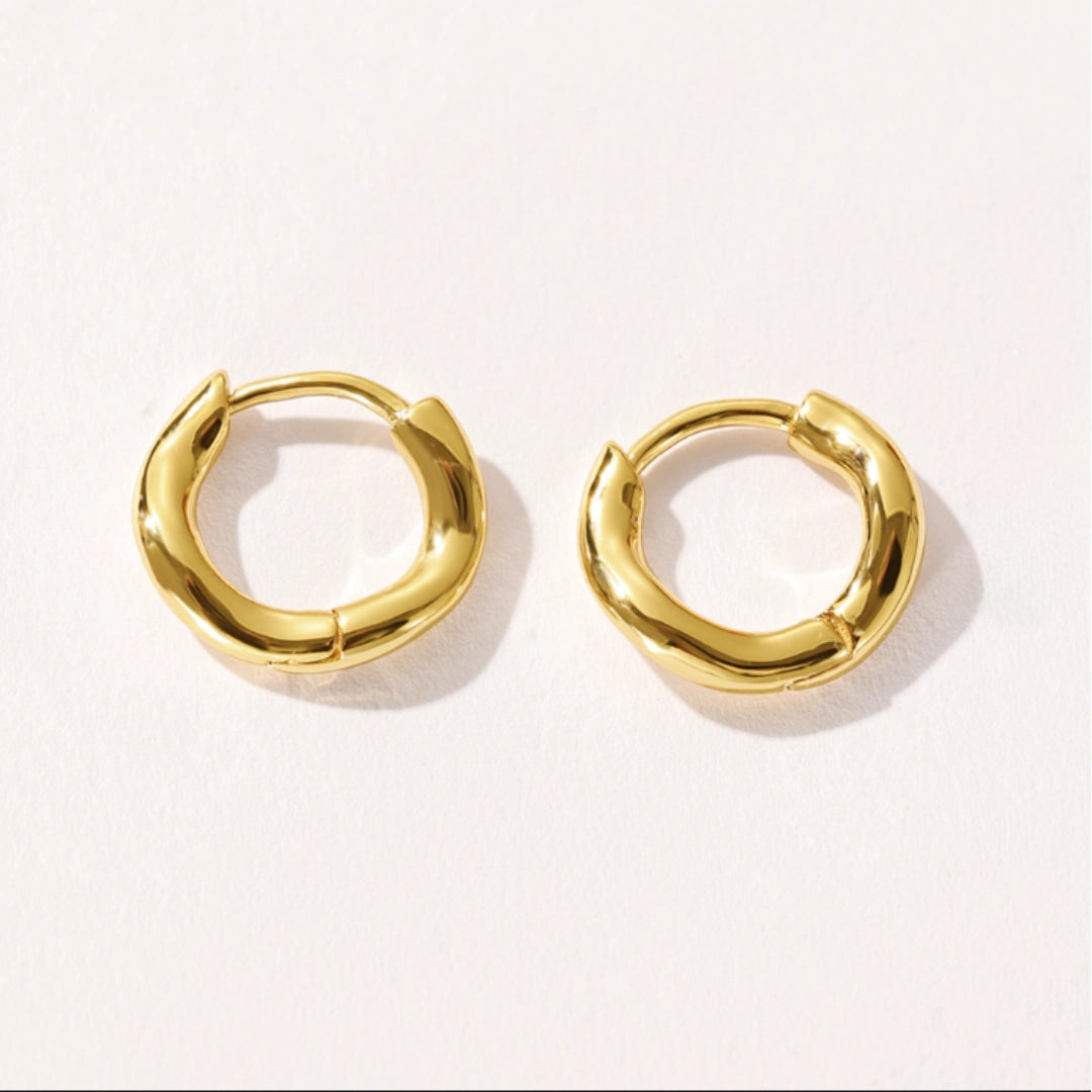 Twisted Hoop Earrings