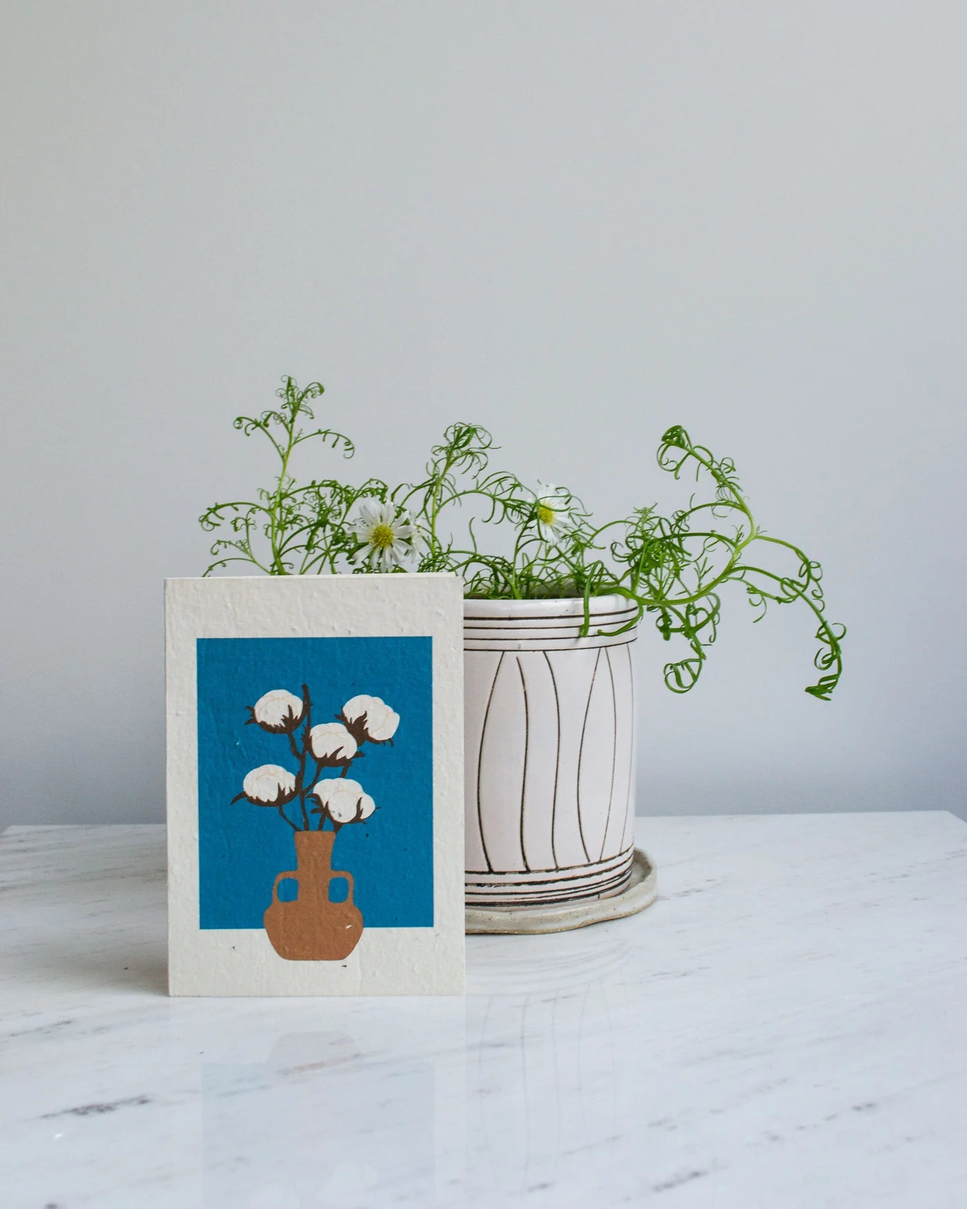 Gift Card - Cotton