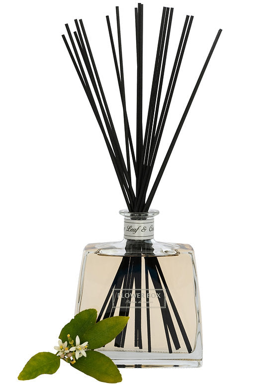 Fig Leaf & Cedar - Hallmark Diffuser