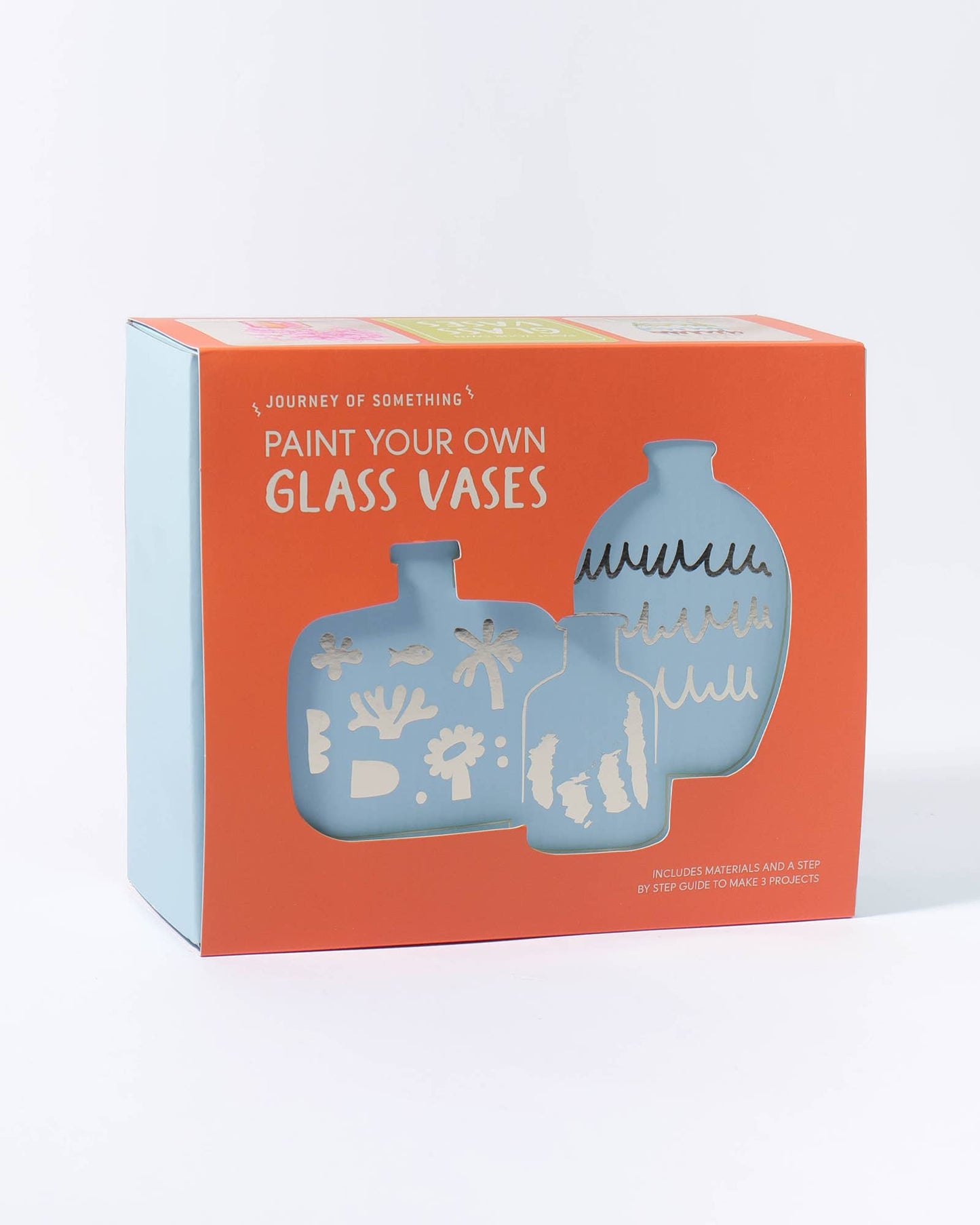 Paint Your Own Glass Vases