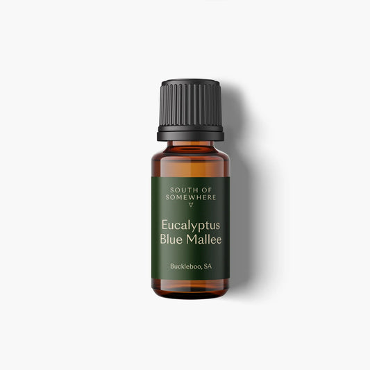 Eucalyptus Blue Mallee Essential Oil