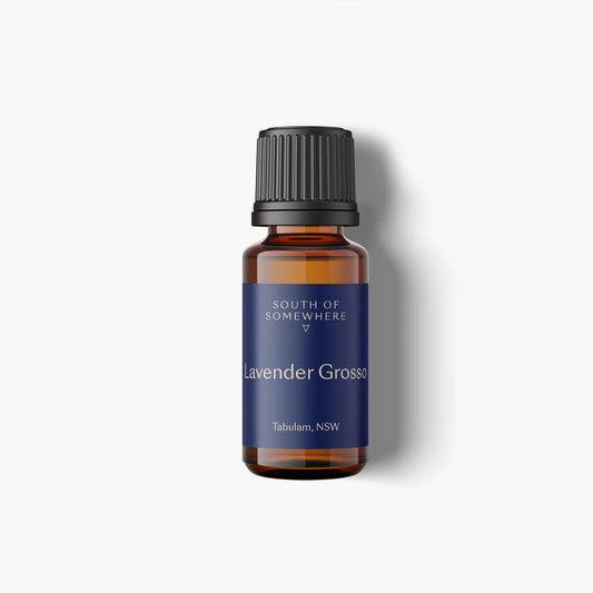 Lavender Grosso Essential Oil