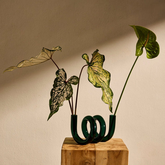 Curly Vase, Multiple Colours